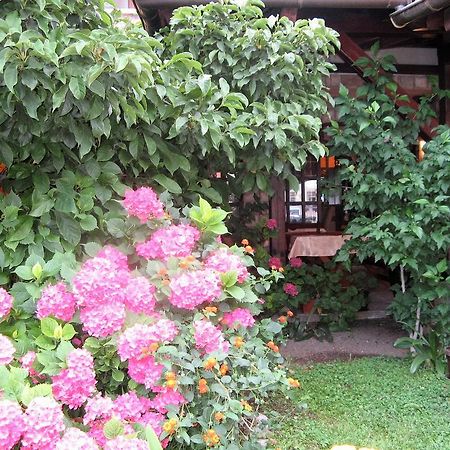 Guest House Zlatibor Budva Kültér fotó