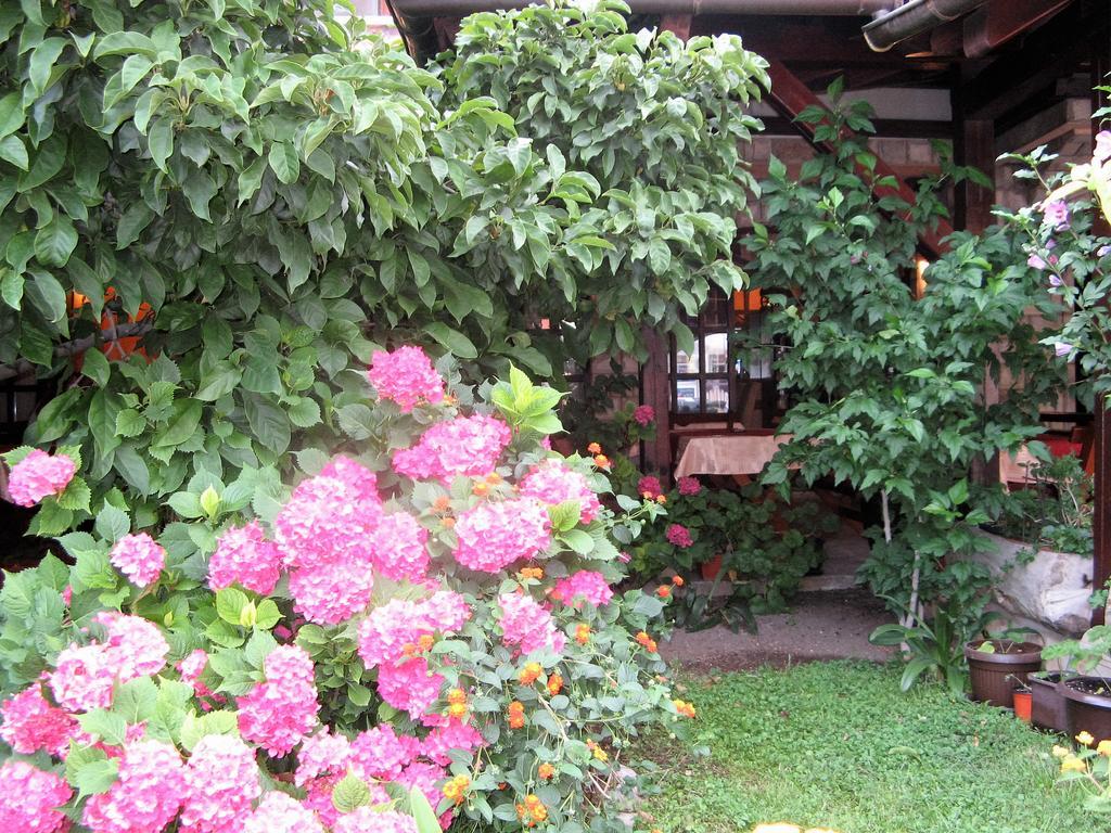 Guest House Zlatibor Budva Kültér fotó